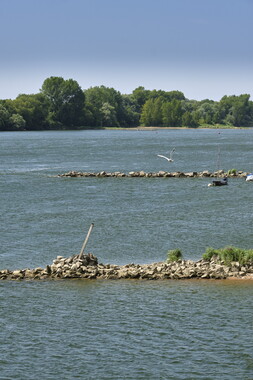 vnf dtbs loire cellier 018