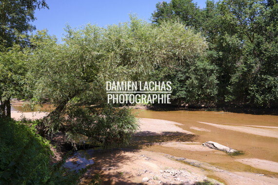 vnf dtbs loire chalonnes canoe 031