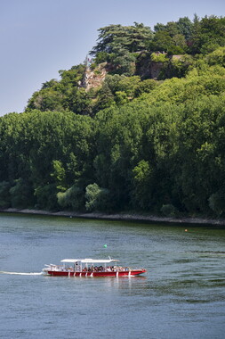 vnf dtbs loire champtoceaux 014