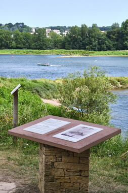 vnf dtbs loire champtoceaux 021