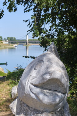 vnf dtbs loire montjean 030