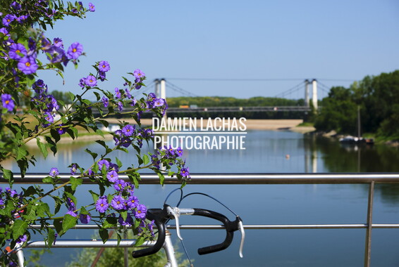 vnf dtbs loire montjean 040