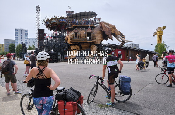 vnf dtbs loire nantes 043
