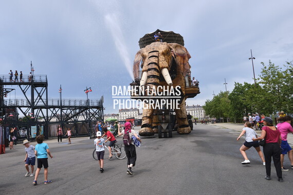vnf dtbs loire nantes 047