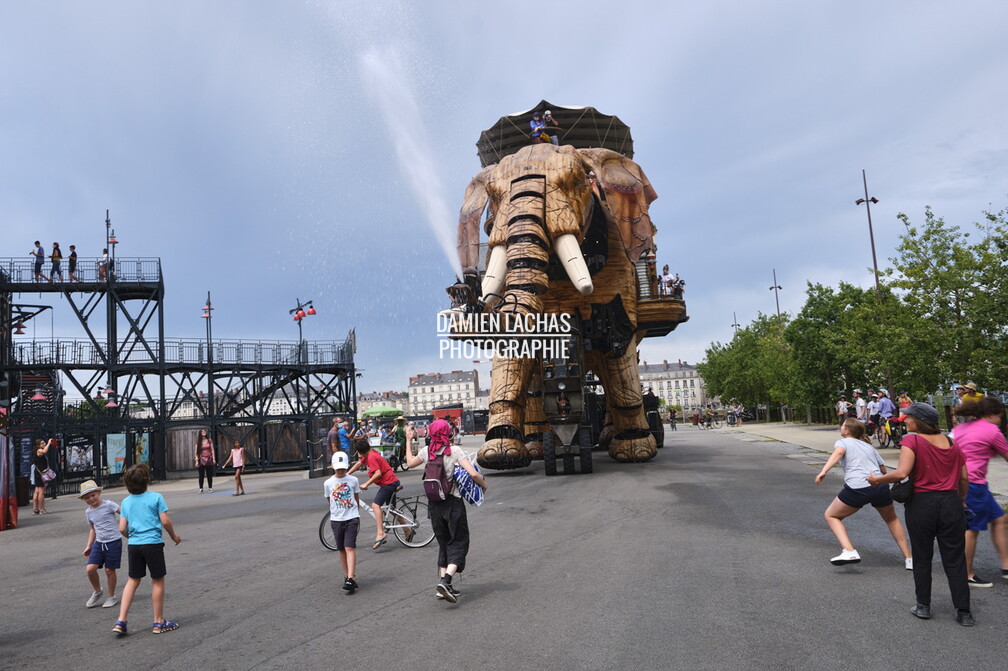 vnf_dtbs_loire_nantes_047.jpg