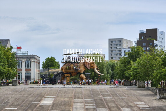 vnf dtbs loire nantes 049