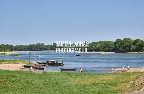 vnf dtbs loire possoniere 007