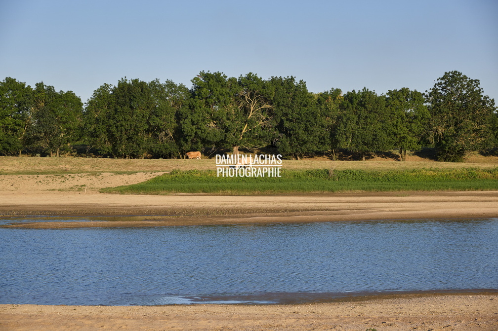 vnf_dtbs_loire_possoniere_041.jpg