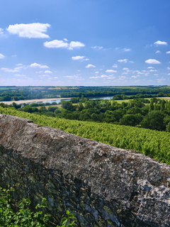 vnf dtbs loire savennieres 002