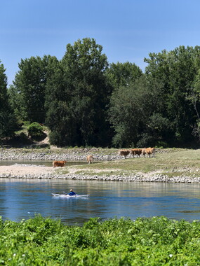 vnf dtbs loire st-florent-vieil 016