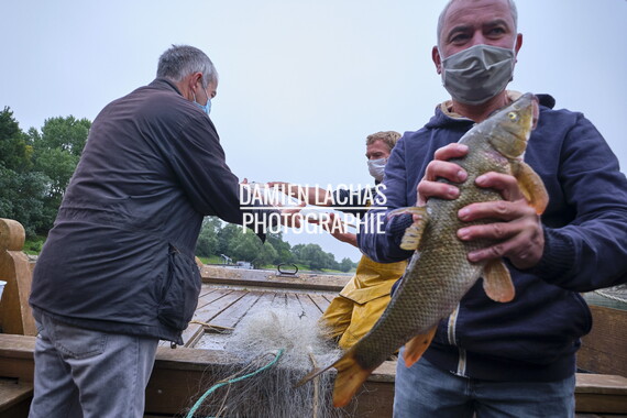 vnf dtbs loire st-florent-vieil sortie peche 005