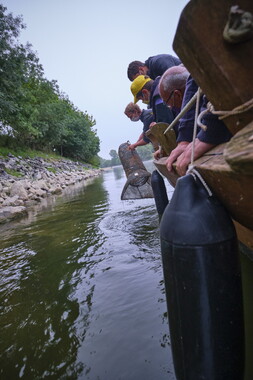 vnf dtbs loire st-florent-vieil sortie peche 006