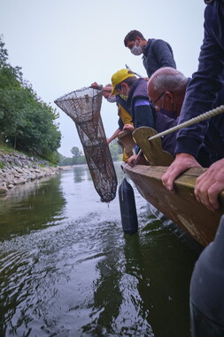 vnf dtbs loire st-florent-vieil sortie peche 007