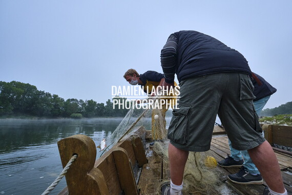 vnf dtbs loire st-florent-vieil sortie peche 009