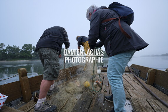 vnf dtbs loire st-florent-vieil sortie peche 011