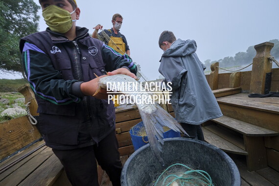vnf dtbs loire st-florent-vieil sortie peche 019