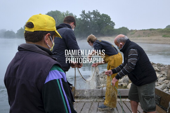 vnf dtbs loire st-florent-vieil sortie peche 022