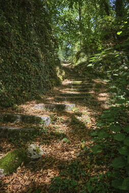 source marne 005