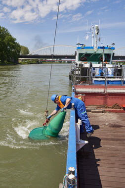 rhin gambsheim engin flottant 004