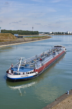 vnf dts rhin commerce 008