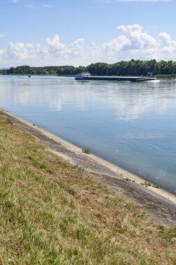 vnf dts rhin commerce 010
