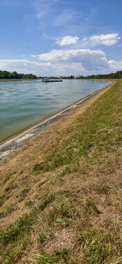 vnf dts rhin commerce 014
