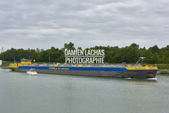 vnf dts rhin commerce 019