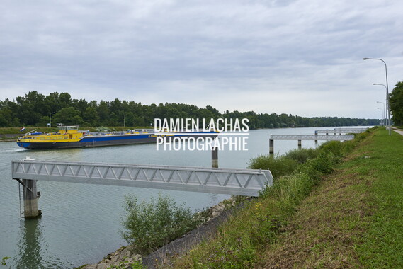 vnf dts rhin commerce 020