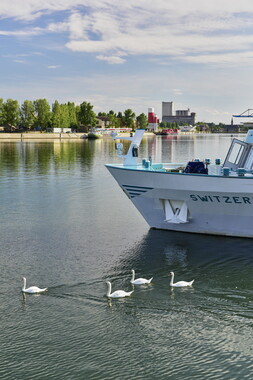 vnf dts rhin croisiere 007