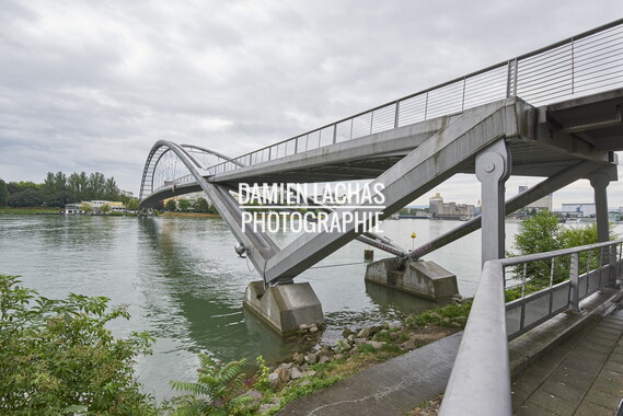 vnf dts rhin paysage 004