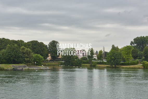 vnf dts rhin paysage 006