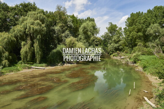 vnf dts rhin paysage 010