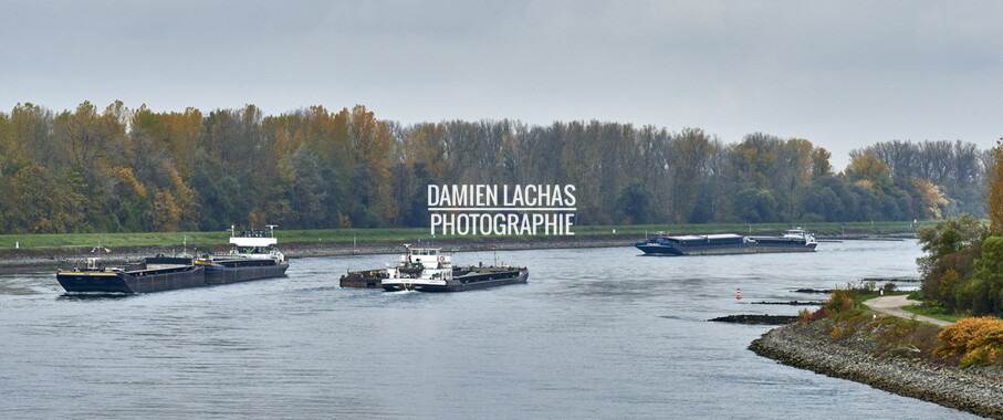 vnf dtstras navigation rhin 011