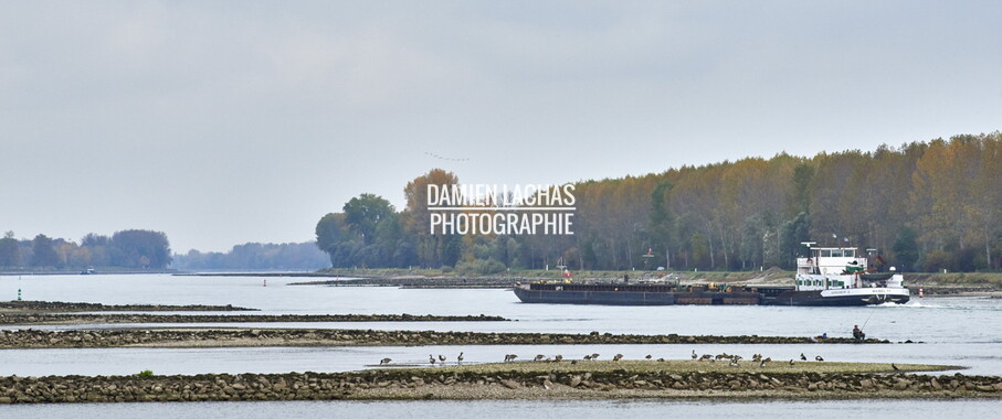 vnf dtstras navigation rhin 013