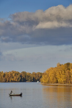 vnf dtstras navigation rhin 019