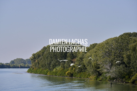 rhone guadiana j5 chargement remonte 053