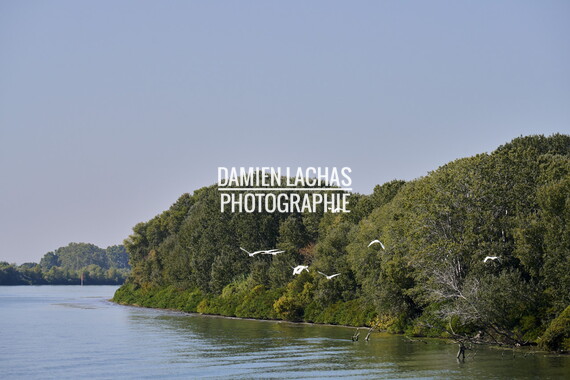 rhone guadiana j5 chargement remonte 053