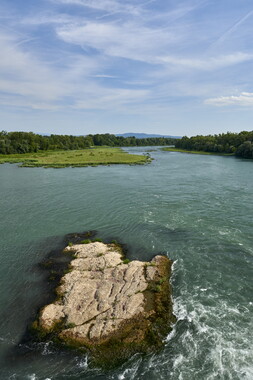 rhone sauvage barrage charmes-sur-rhone 002