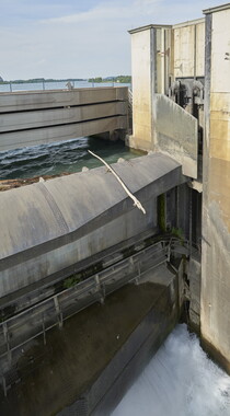 rhone sauvage barrage charmes-sur-rhone 005