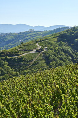 vnf dtrs rhone paysage 026