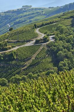 vnf dtrs rhone paysage 027