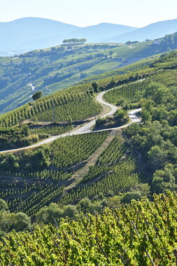 vnf dtrs rhone paysage 028