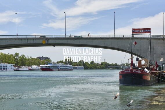 vnf dtrs tourisme rhone avignon paquebots 016