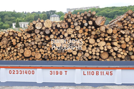 lyon pardon marinier juin2018 005