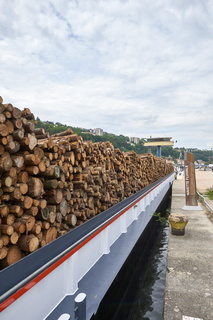 lyon pardon marinier juin2018 006