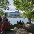 quai saone vaise mai2019 004