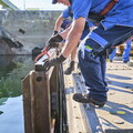 vnf dtrs barrage ormes travaux debatardage 006