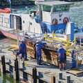 vnf dtrs barrage ormes travaux debatardage 014