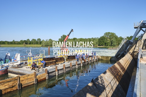 vnf dtrs barrage ormes travaux debatardage 016