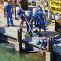 vnf dtrs barrage ormes travaux debatardage 021